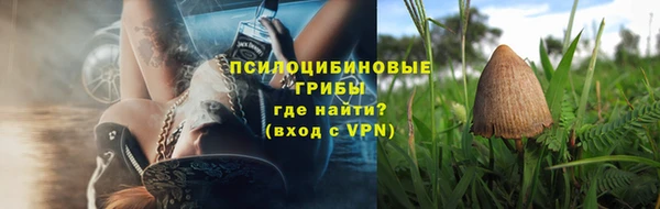 дмт Алексин