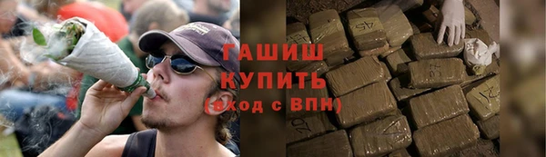 PSILOCYBIN Алзамай