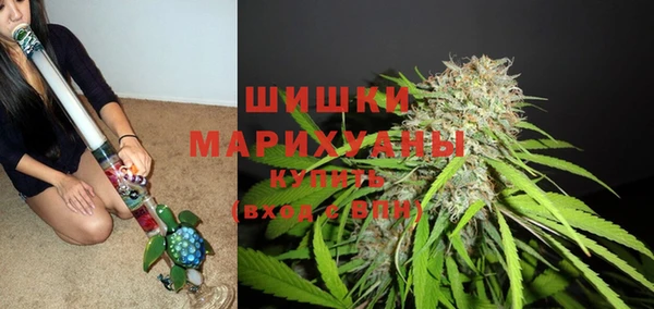 PSILOCYBIN Алзамай