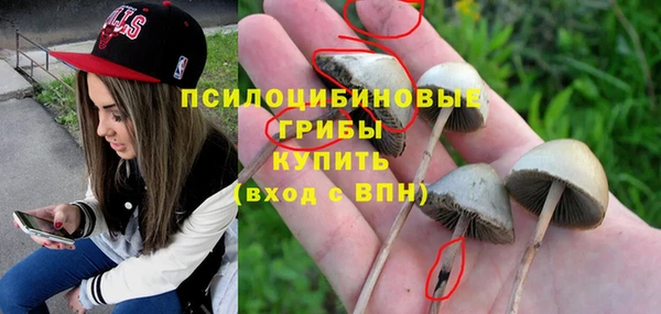 дмт Алексин