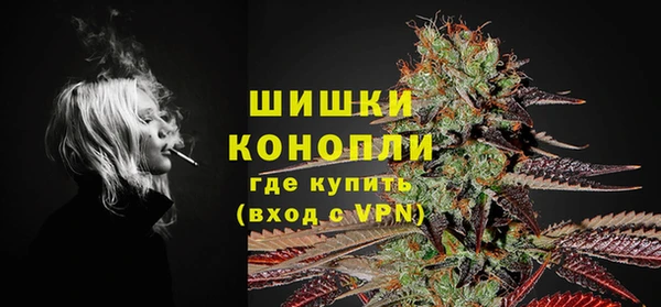 PSILOCYBIN Алзамай