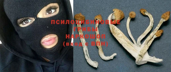 PSILOCYBIN Алзамай