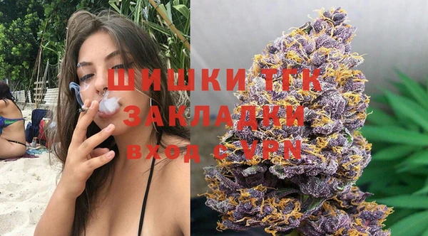 дмт Алексин