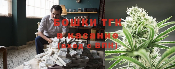 дмт Алексин