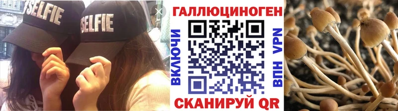 Псилоцибиновые грибы MAGIC MUSHROOMS  магазин продажи наркотиков  Волжский 