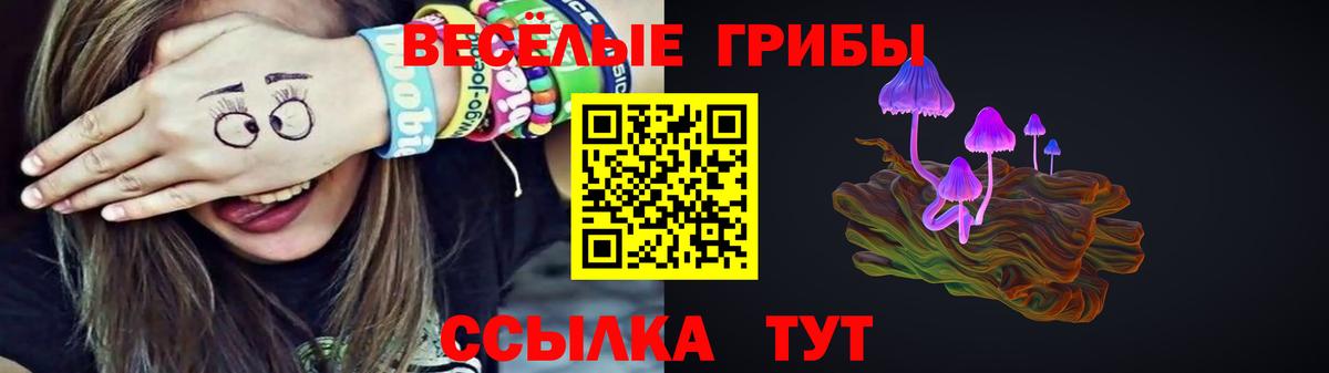 Галлюциногенные грибы Psilocybe  Псилоцибиновые грибы мицелий  сколько стоит  Вход с VPN  Волжский 